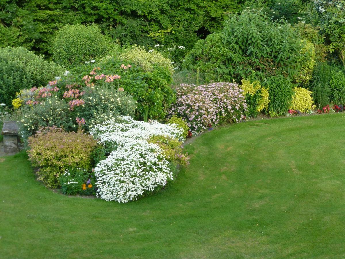 Whiteways Farmhouse Buckland Newton Extérieur photo