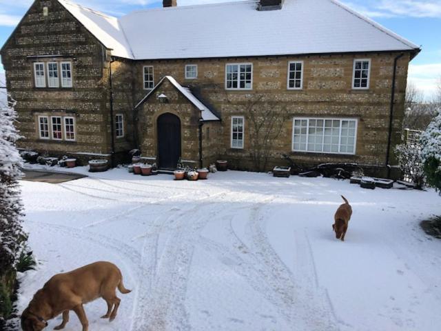 Whiteways Farmhouse Buckland Newton Extérieur photo